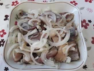 Скумбрия соленая