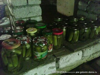 Соленые огурчики хрустящие