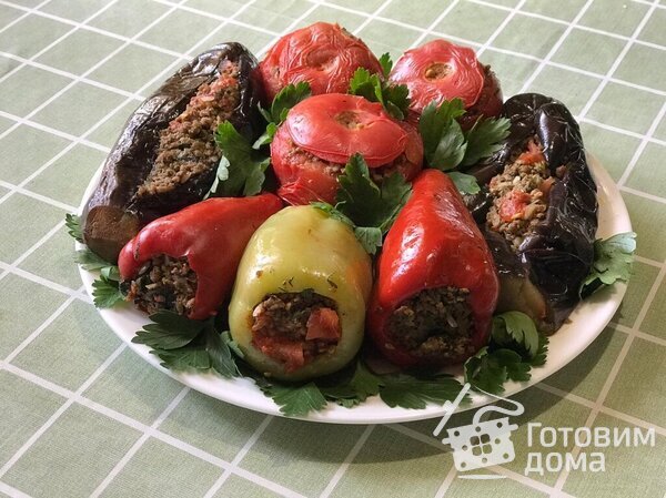 Долма из фаршированных баклажанов, помидоров и перцев фото к рецепту 1