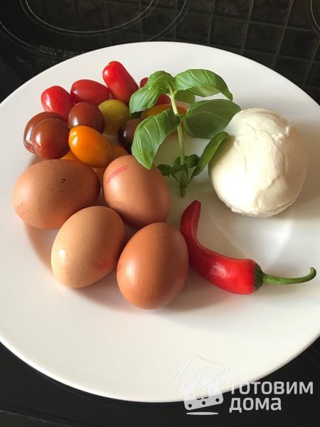 Омлет с помидорами и базиликом фото к рецепту 1