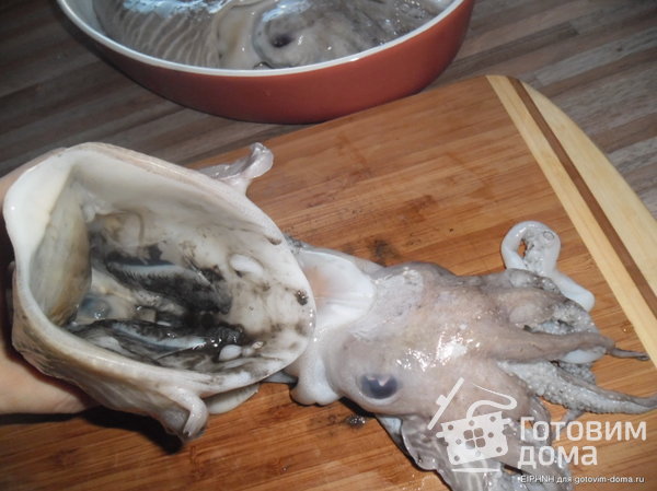 Супьес ме спанаки - Каракатицы со шпинатом фото к рецепту 2