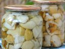 Маринованные белые грибы от Sindirella Маринованные белые грибы от Sindirella