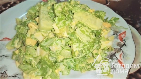 Зеленый весенний салат с зеленью и яйцом. фото к рецепту 1