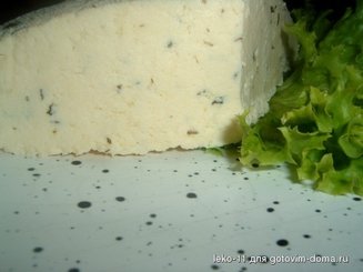 домашний сыр брынза