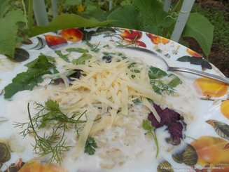 Овсяная каша со свежим шпинатом и сыром