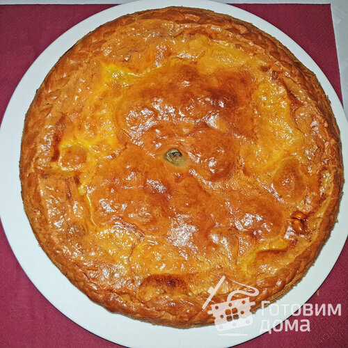 Пирог с мясом, грибами и пармезаном