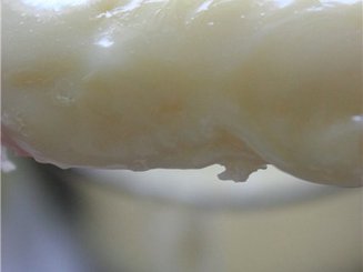 Плавленный сыр с беконом