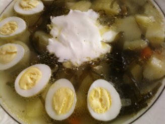Щи зелёные с морской капустой "Дальневосточные"