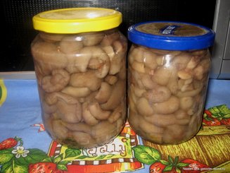 Маринованные белые грибы