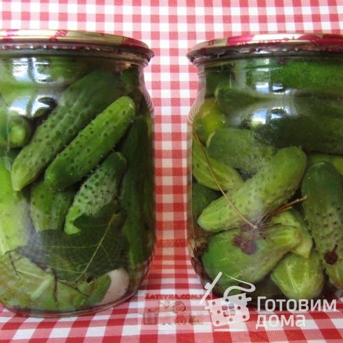 Маринованные корнишоны