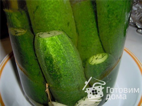 Малосольные огурчики фото к рецепту 6