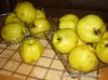 Варенье из айвы с грецким орехом