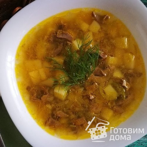 Суп с куриными сердечками