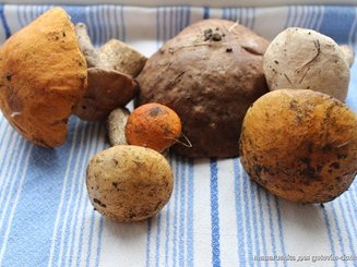 Салат с грибами, крабовыми палочками и фасолью