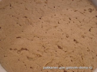 Ржаная закваска