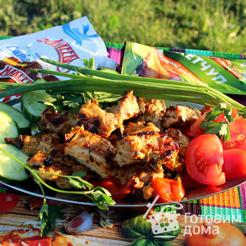 Куриный шашлык в маринаде из аджики и сметанного майонеза