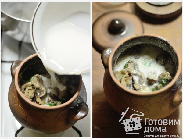 Грибы душёные (тушёные в горшочке) фото к рецепту 2