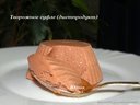 Творожное суфле (диетпродукт) от куколка2900 Творожное суфле (диетпродукт) от куколка2900