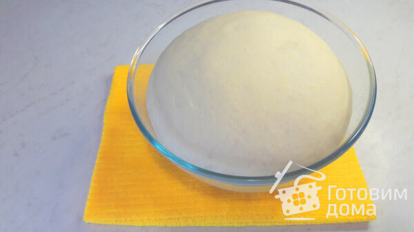 Дрожжевое тесто без яиц и молока фото к рецепту 16