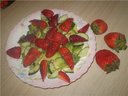 Салат из клубники, огурцов и авокадо от Абрикоска2010 Салат из клубники, огурцов и авокадо от Абрикоска2010