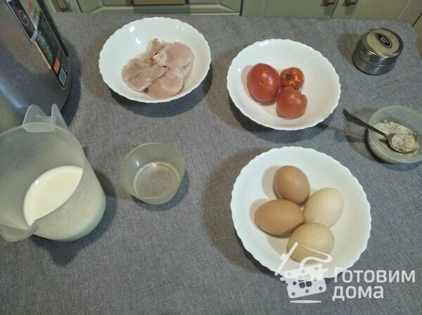 Омлет с курицей и томатами фото к рецепту 1