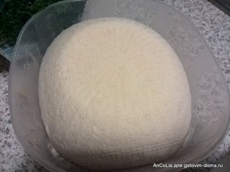 домашний сыр брынза