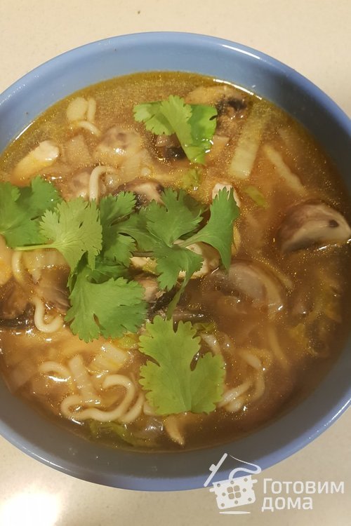 Китайский суп с курицей и грибами
