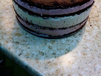   Шоколадный торт с малиновым и лимонным кремом