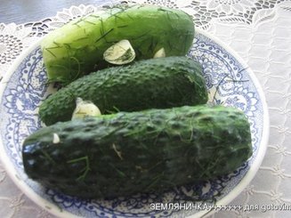 Солёные огурцы в пакете (экспресс-вариант, сухой посол)