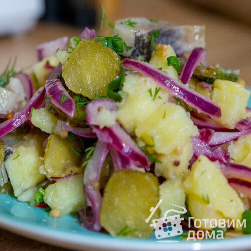 Картофельный салат с сельдью, луком и солеными огурцами