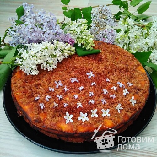 Творожный пирог «Торфяной»