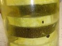 Кабачки маринованные по-болгарски от Milochka-kotik Кабачки маринованные по-болгарски от Milochka-kotik