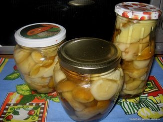 Маринованные белые грибы