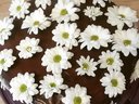 Шоколадный торт с малиновым и лимонным кремом от MilanaKabrdinka Шоколадный торт с малиновым и лимонным кремом от MilanaKabrdinka