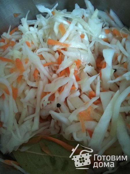 Зимний салат из капусты фото к рецепту 1