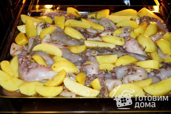 Осьминог запеченный в духовке с картофелем фото к рецепту 7