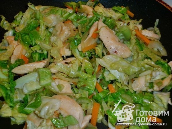 Стир-фрай из курицы и капусты фото к рецепту 5