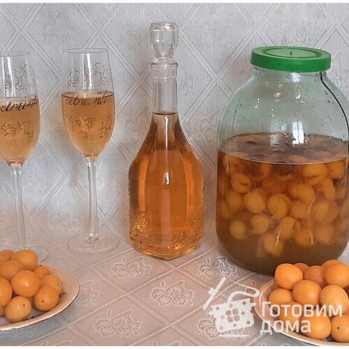 Домашнее «шампанское» (настойка) из плодов алычи