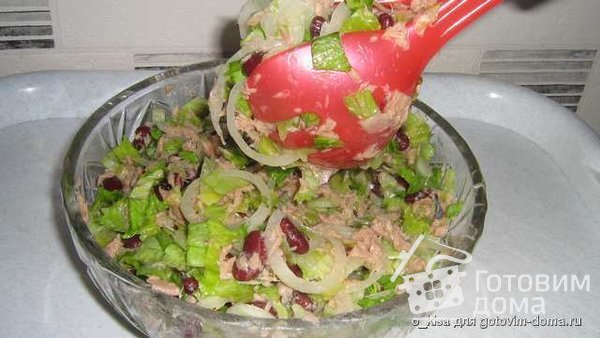Салат из тунца с красной фасолью фото к рецепту 5
