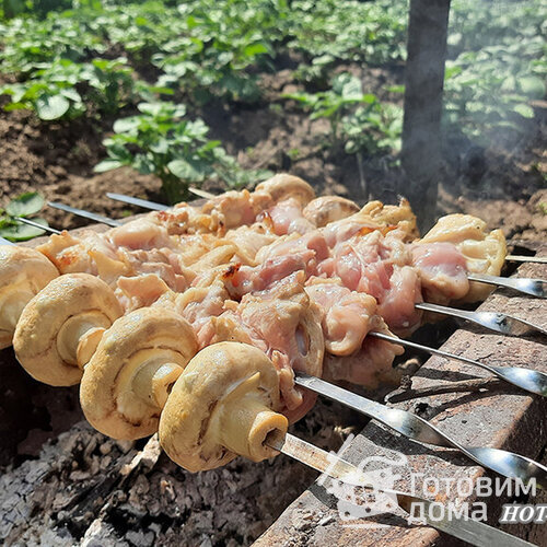 Шашлык из шампиньонов со сливками и сметаной