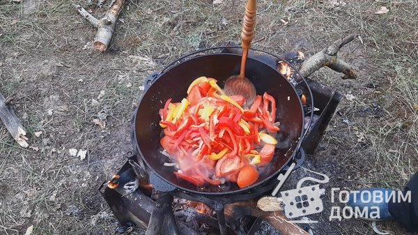Чашушули (ჩაშუშული) в казане. Оптимально для приготовления на природе. фото к рецепту 1