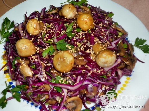 Салат из красной капусты с грибами фото к рецепту 1
