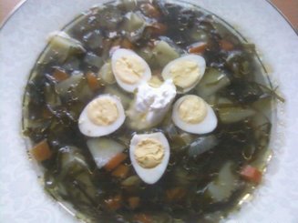 Щи зелёные с морской капустой "Дальневосточные"
