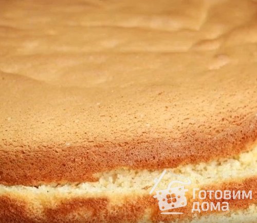 Идеальный бисквит для торта