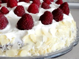 Шоколадный торт с лесным орехом и манго