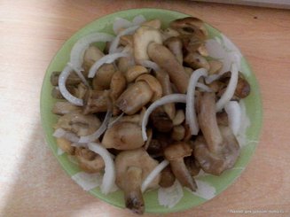 Маринованные белые грибы