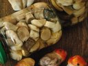 Маринованные белые грибы от Sindirella Маринованные белые грибы от Sindirella