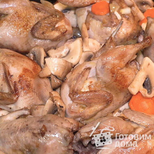 Вкусные перепела с грибами на сковороде на любой праздник