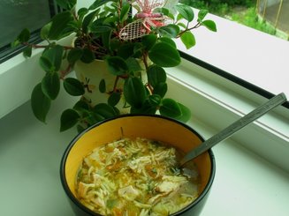 Котосупа (куриный суп)