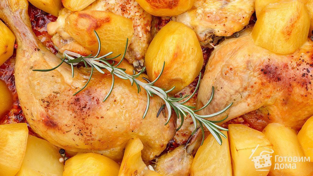 Как приготовить картошку с курицей в духовке вкусно: рецепты и советы